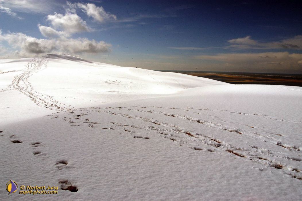 Nom de l'image : D1112221-nef-01_(c)Norbert-JUNG — Description :